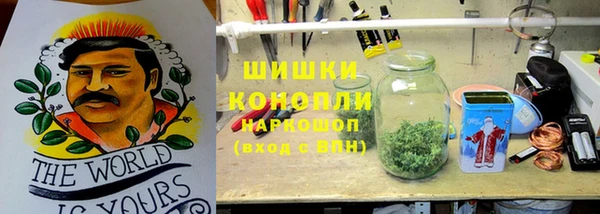 тгк Богородск