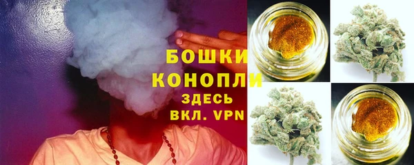 тгк Богородск