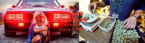 мдма Богданович